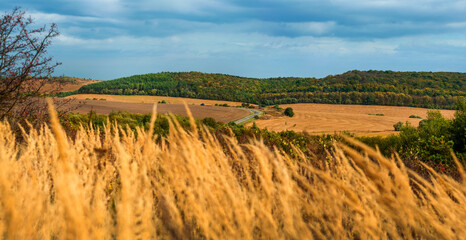 panorama with yellow grasses in autumn of a road among autumn fields, a view from a height and