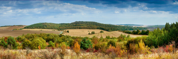Fototapeta premium very beautiful panorama of autumn landscape of agricultural fields and road, view from above