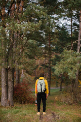 Fototapeta premium Tourist on a hiking trail in the forest with a backpack and a lamp.