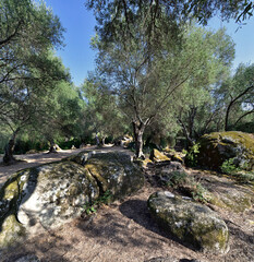 FILITOSA, FRANCE - The open-air museum with old stone figures of an ancient civilization. The site once served religious purposes and possesses numerous figures carved of stone.