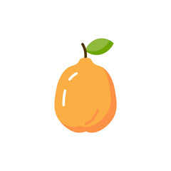 Quince vector flat icon. Quince fruit illustration food design