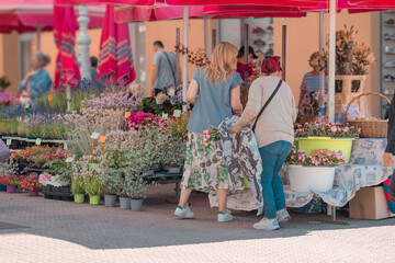 Unknown people buying flowers in the Zagreb flower market in the centre of the city on a summer day.