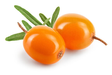 Sea buckthorn. Fresh ripe berry isolated on white background macro