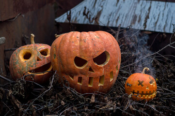 halloween orange pumpkins in the slums autumn festival celebration