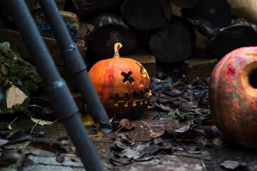 halloween orange pumpkins in the slums autumn festival celebration