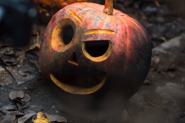 halloween orange pumpkins in the slums autumn festival celebration