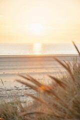 Fototapeta premium Vertical shot of sea at sunset with grass in the foreground