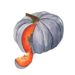 Bright grey pumpkin for Halloween cut, a piece of pumpkin