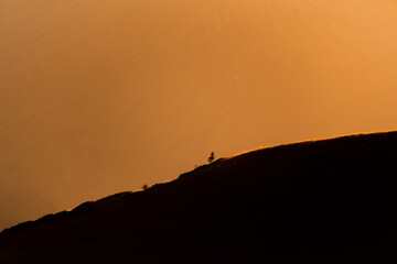 Obraz premium Lonely small tree on top of a mountain with an idyllic orange light in the background during the golden hour at sunset or sunrise. Beautiful and calm landscape with space for text. Natural beauty.