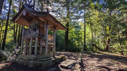 森の中の社 － house in the woods