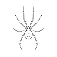Vector flat hand drawn outline spider isolated on white background