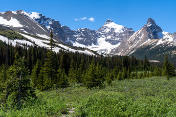 Fototapeta premium View of the Canadian Rockies from the Parker Ridge trailhead area of Jasper National Park