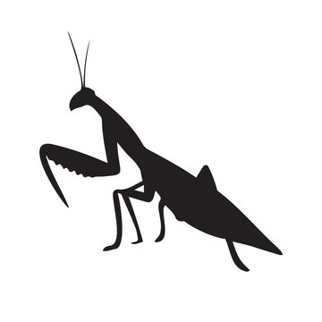 recommend clip art: Vector hand drawn mantis silhouette isolated on white background