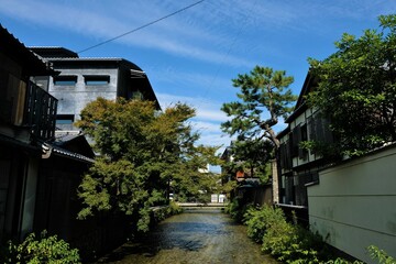 Fototapeta na wymiar 京都、白川、柳の木、水、青空、白い雲、ストリートビュー