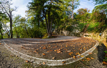 Alpine road in autumn with leaves on the ground