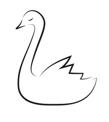Łabędź rysunek © Monika Janiak-Klicha