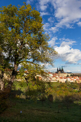 Fototapeta na wymiar Autumn Prague City with gothic Castle, colorful Nature and Trees and dramatic Sky from the Hill Petrin, Czech Republic