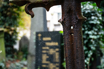 Telaraña en cruz metálica en cementerio de Olšany, Praga
