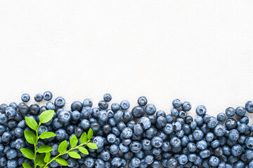 Fresh blueberries with leaves on white concrete background, copy space for text. Summer concept