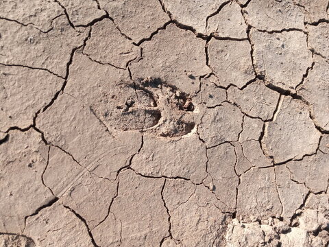 dry earth
