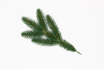 Christmas tree branch on white background. Isolated. New Year Fir branch. Christmas decoration. Design element Spruce for Holiday posters, wallpapers, postcards. Festive attributes. Top view. Close-up