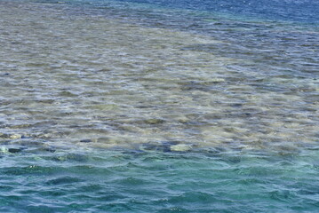 Red sea,
Walk on the red sea,
red sea beaches.