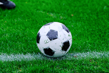 Fototapeta premium サッカー