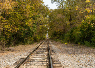 railroad in autumn