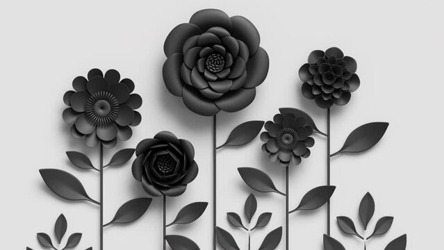 animated 3d black paper flowers appearing and growing, decorative botanical elements isolated on white background