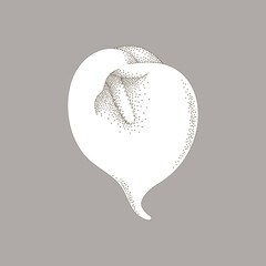 Vector Flower Calla Lily Illustration Dot Pointillism Neutral Gray Colors Isolated Graphic Scalable Strokes