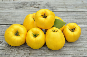 Ripe bright yellow fruits of apple quince on a gray wooden table. Healthy food concept.