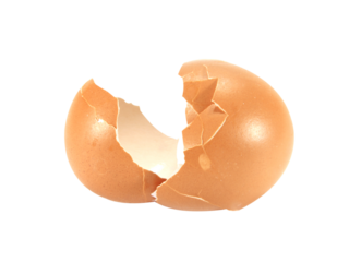 egg shells isolated on white background.