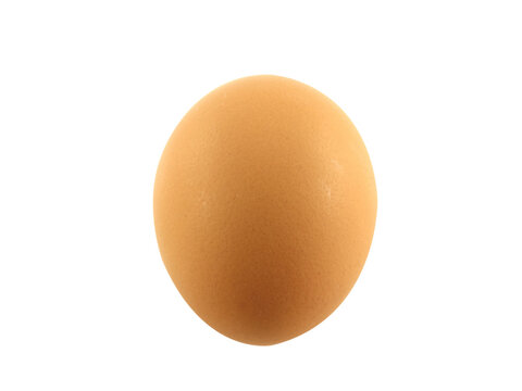 One egg  isolated on white background.