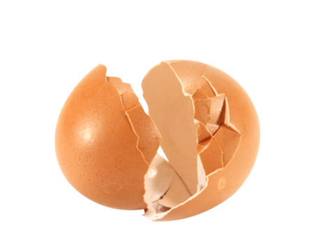 egg shells isolated on white background.