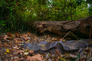 Old metal that looks like a rock with graffiti next to a fallen tree in the autumn woods