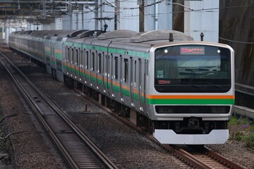 Fototapeta na wymiar 通勤電車 東海道線E231系