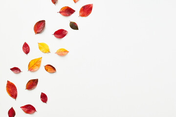 Autumn flat lay composition with colorful fall leaves. Flat lay, top view.