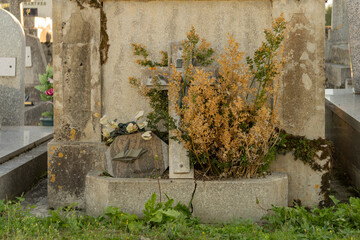 Old tombstone adorned with a large cross with Christ, dried plants and a funerary plaque