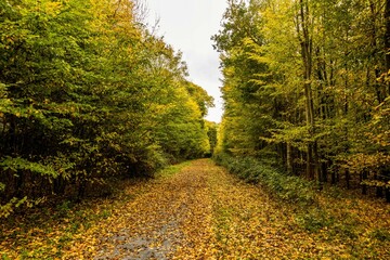 Fir and Pond Woods is a 29 hectare nature reserve in Potters Bar in Hertfordshire, UK.