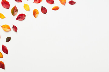 Autumn leaves frame corner isolated on white background. Autumn, fall concept. Flat lay, top view.
