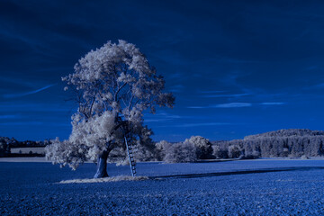 infrared photography - ir photo of landscape under sky with clouds - the art of our world in the...