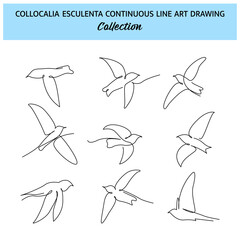 Set of flying bird one continuous line drawing. Cute decoration hand drawn elements. Vector illustration of minimalist style on a white background.