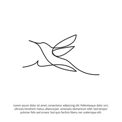 Hummingbird one continuous line drawing. Cute decoration hand drawn elements. Vector illustration of minimalist style on a white background.
