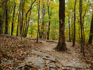 A Fall Hike in Maryland