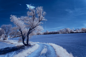 infrared photography - ir photo of landscape under sky with clouds - the art of our world in the infrared spectrum