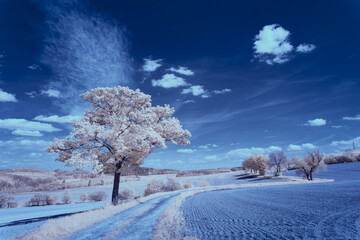 infrared photography - ir photo of landscape under sky with clouds - the art of our world in the infrared spectrum