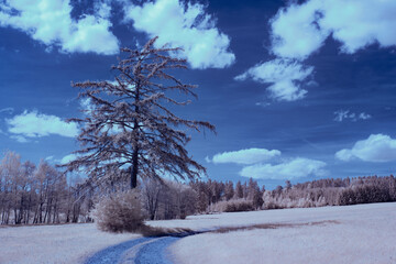 infrared photography - ir photo of landscape under sky with clouds - the art of our world in the...