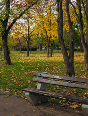 bench in autumn park