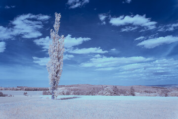 infrared photography - ir photo of landscape under sky with clouds - the art of our world in the...