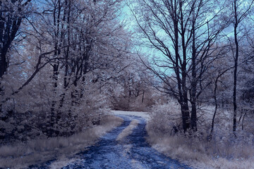 infrared photography - ir photo of landscape under sky with clouds - the art of our world in the infrared spectrum